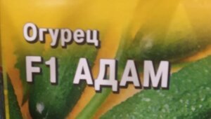 Огуречные фантазии