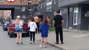 Шакалята. Киньте в неё камень