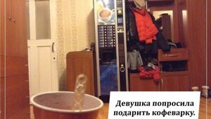 3966425 без кота жизнь не та фото с надписями новые