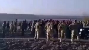 3977771 без кота жизнь не та фото с надписями новые