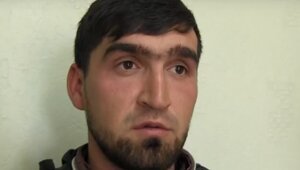 3978543 без кота и жизнь не та и без собаки