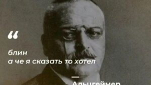 3979807 без кота и жизнь не та и без собаки