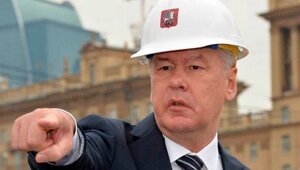 3979832 без кота и жизнь в контакте