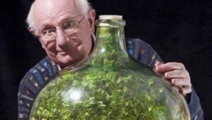 15 занятных вещей, которые днём с огнём не сыщешь