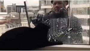 Мойщик окон играет с котом