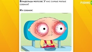 Комментарии и картинки из соцсетей. Свежак за 2 мая