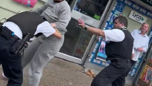Полицейским в Лондоне пришлось разобраться с настоящей приезжей «фурией»