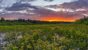 Работы фотохудожника Марины Мурашовой