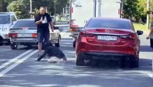 В Ростове девушка, похожая на героиню из фильма "Звонок", в полном неадеквате ехала по встречке