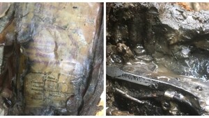 Из болота в Ленобласти подняли истребитель времен Великой Отечественной войны