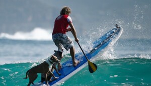 На общую тему&nbsp;