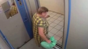 Женщина завернула кота в целлофан и спустила на лифте, потому что устала «убирать за ним