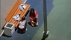 В Ростове мужчина разогнал бесцеремонных девиц, которые вечером разделись на детской площадке