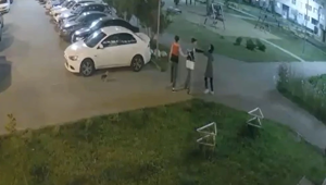 В Самаре девушка пнула чужую собаку и попала под гнев её хозяев