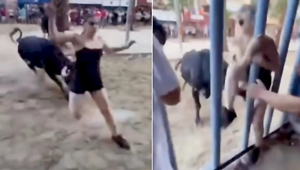 Девушка еле спаслась от быка на корриде в Испании