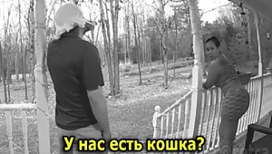 Почему папа делает больно кошке?