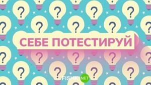 Ду ю спик рашн? Тест по русскому языку, призванный выбесить всех