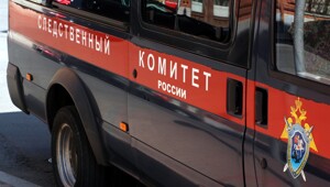 Бастрыкин заинтересовался нападением вооружённых отвёрткой детей на сверстника в Новосибирске