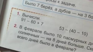 «Люто туплю»: девушка попросила помощь со&nbsp;школьной задачей по&nbsp;математике