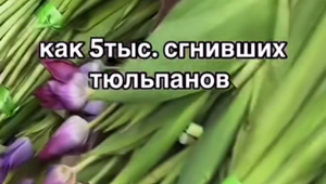 "Мы круто влипли": десятки торговцев цветами прогорели, решив заработать на 8 марта