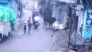 Необычный угон скутера в Индии