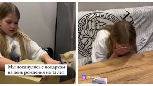 "Его ещё и собирать надо?": не угадали с подарком