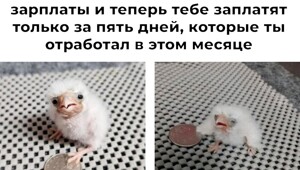 Не ищите здесь смысл. Здесь в основном маразм