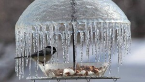 Всё вразнобой&nbsp;