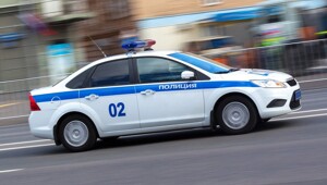 В Каменске-Уральском женщина натравила бойцовых псов на мужчину и поплатилась