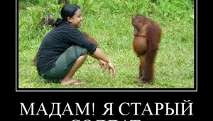 Всяко-разно в понедельник