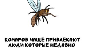 А вдруг ты не знал…