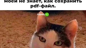 Не ищите здесь смысл. Здесь в основном маразм