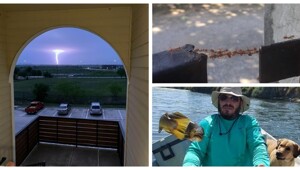 30 случаев на миллион, в которые трудно поверить
