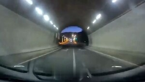 Полёт за премией Дарвина
