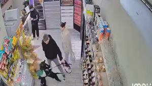 В Краснодаре собака в присутствии хозяина укусила ребёнка за лицо