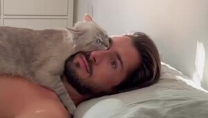 Котики — существа не от мира сего: 20 фото, доказывающих их странность