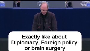Депутат Европарламента из Германии об интеллекте Каи Каллас
