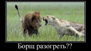 Демотиваторов пост