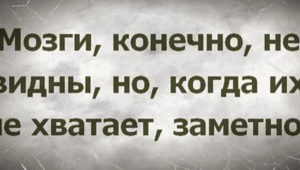 История, которую когда-то давно рассказал нам, студентам, преподаватель по зоопсихологии
