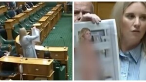 В Новой Зеландии депутат показала в парламенте свое обнажённое AI-фото