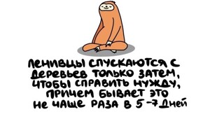 А вдруг ты не знал…