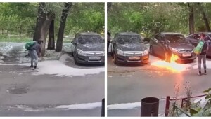 Человеческая тупость