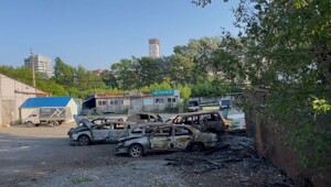 В Екатеринбурге 29-летний «ребёнок» поджег тополиный пух