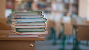 В Госдуме предложили отменить бесплатное образование для детей мигрантов