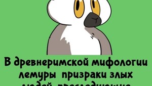 А вдруг ты не знал…