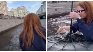 Операция «Раскрытый зонтик» по спасению котёнка развернулась в Крюковом канале