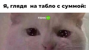 Смешные картинки