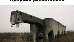 Скрины из соцсетей