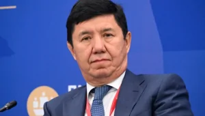 Киргизский чиновник предложил придать особый статус гражданам его страны в России