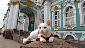 Эрмитажные коты получили неожиданное наследство
